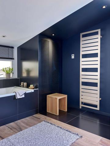 Forana +Air électrique - TFO/IFS | Acova_Rad Seche Serviette_Forana_Elec Air_Amb.jpg